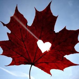 Meet your Posher, Gretchen